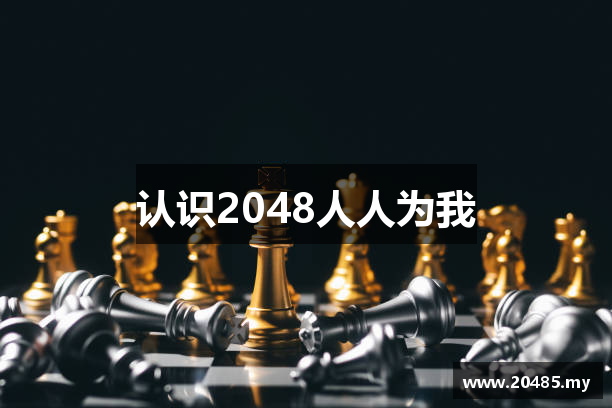 认识2048人人为我